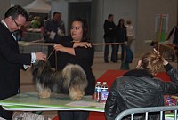 DSC_6078.jpg DSC_6078.jpg