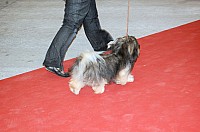 DSC_6082.jpg DSC_6082.jpg
