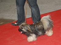 DSC_6083.jpg DSC_6083.jpg