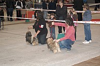 DSC_6092.jpg DSC_6092.jpg