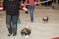 DSC_6094.jpg DSC_6094.jpg