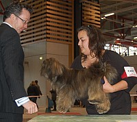 DSC_6101.jpg DSC_6101.jpg