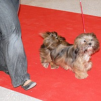 DSC_6103.jpg DSC_6103.jpg