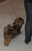 DSC_6105.jpg DSC_6105.jpg