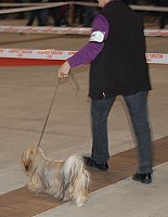 DSC_6106.jpg DSC_6106.jpg