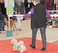 DSC_6109.jpg DSC_6109.jpg
