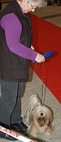 DSC_6111.jpg DSC_6111.jpg