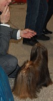 DSC_6113.jpg DSC_6113.jpg