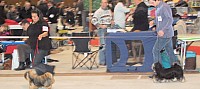 DSC_6119.jpg DSC_6119.jpg