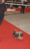DSC_6123.jpg DSC_6123.jpg