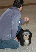 DSC_6124.jpg DSC_6124.jpg