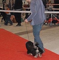 DSC_6134.jpg DSC_6134.jpg