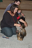 DSC_6135.jpg DSC_6135.jpg
