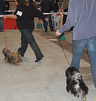 DSC_6137.jpg DSC_6137.jpg