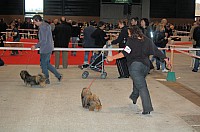 DSC_6142.jpg DSC_6142.jpg