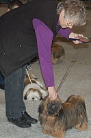 DSC_6144.jpg DSC_6144.jpg