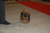 DSC_6145.jpg DSC_6145.jpg