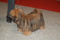 DSC_6146.jpg DSC_6146.jpg
