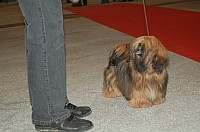 DSC_6147.jpg DSC_6147.jpg