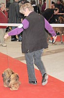 DSC_6150.jpg DSC_6150.jpg