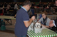DSC_6153.jpg DSC_6153.jpg
