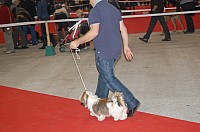 DSC_6154.jpg DSC_6154.jpg