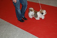 DSC_6155.jpg DSC_6155.jpg