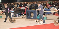 DSC_6157.jpg DSC_6157.jpg