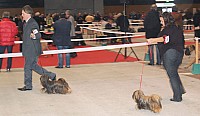 DSC_6173.jpg DSC_6173.jpg