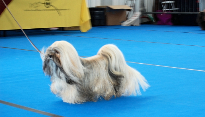 DSC_3701.jpg