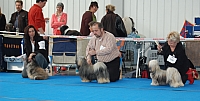 DSC_3571.jpg