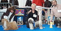DSC_3584.jpg