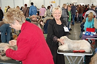 DSC_3726.jpg