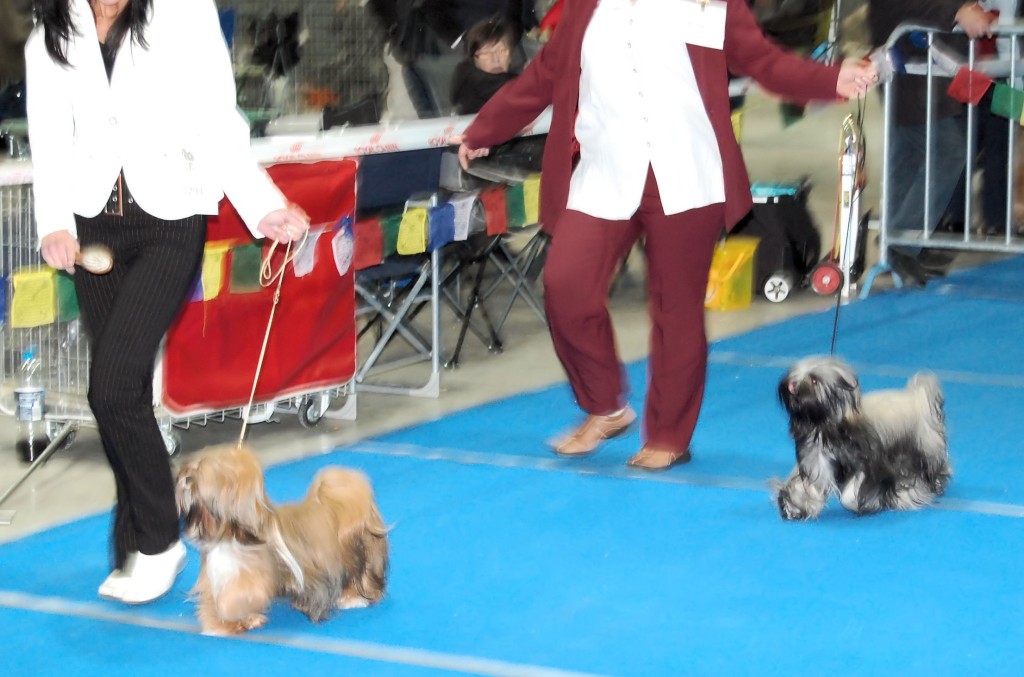 DSC_2370.jpg