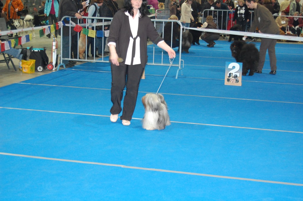 DSC_2375.jpg