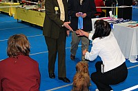DSC_2372.jpg DSC_2372.jpg