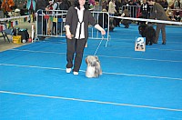 DSC_2375.jpg DSC_2375.jpg
