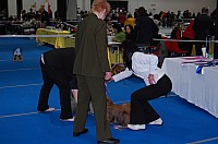DSC_2376.jpg DSC_2376.jpg