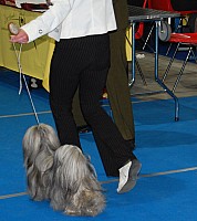 DSC_2378.jpg DSC_2378.jpg
