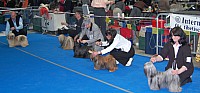 DSC_2388.jpg DSC_2388.jpg