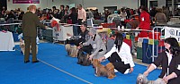 DSC_2391.jpg DSC_2391.jpg