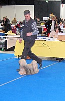 DSC_2393.jpg DSC_2393.jpg