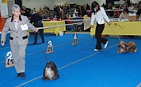 DSC_2399.jpg DSC_2399.jpg