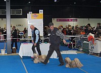 DSC_2400.jpg DSC_2400.jpg