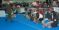 DSC_2404.jpg DSC_2404.jpg
