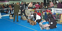 DSC_2405.jpg DSC_2405.jpg