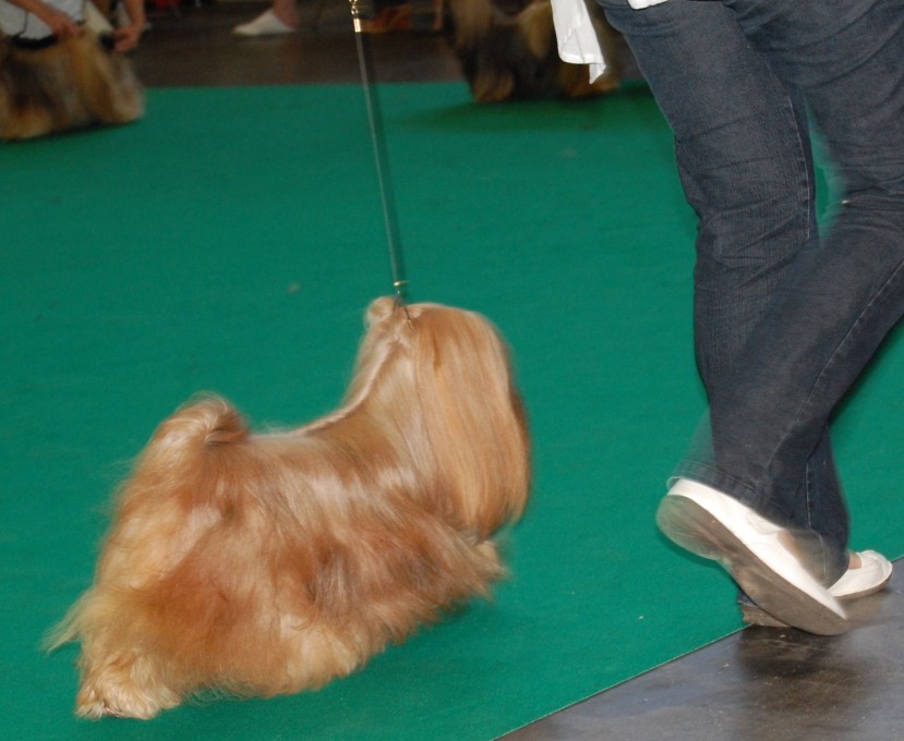 DSC_4939.jpg