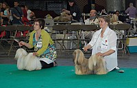 DSC_4855.jpg DSC_4855.jpg