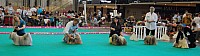 DSC_4873.jpg DSC_4873.jpg