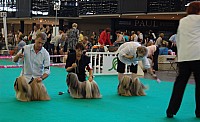 DSC_4900.jpg DSC_4900.jpg
